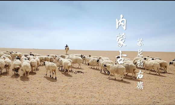 < 中国国际合唱节公益视频 >——内蒙古苏尼特右旗 
