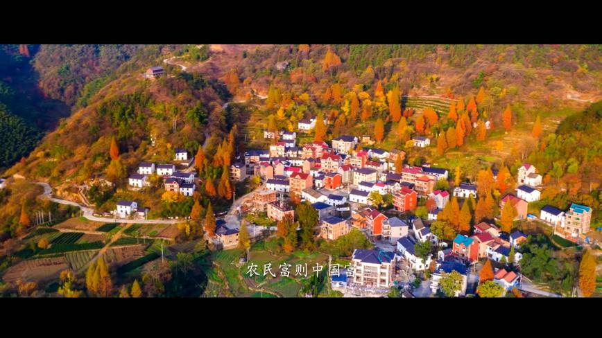 2017中国（杭州）乡村振兴暨“三美”建设论坛宣传片 