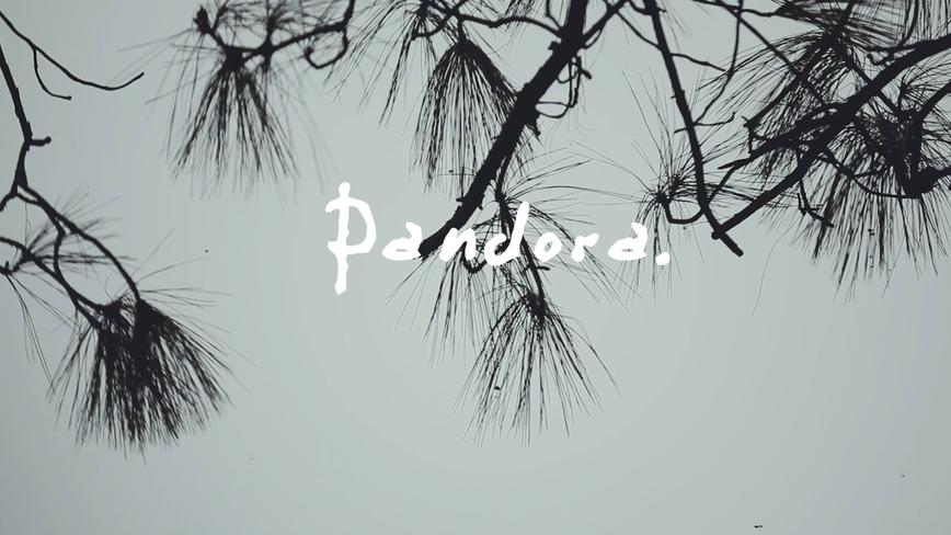 Pandora / 一日映画婚礼影片 