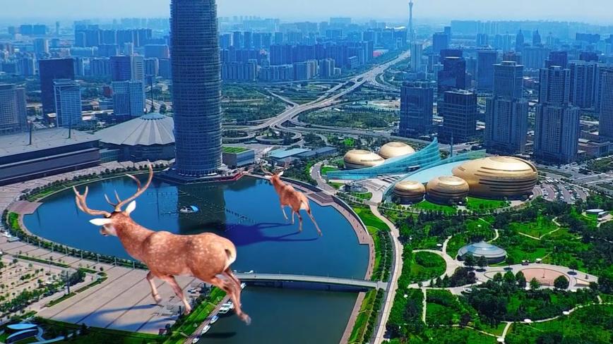 郑州大玉米CBD小鹿—竹林锦鲤—概念城市—合成测试 
