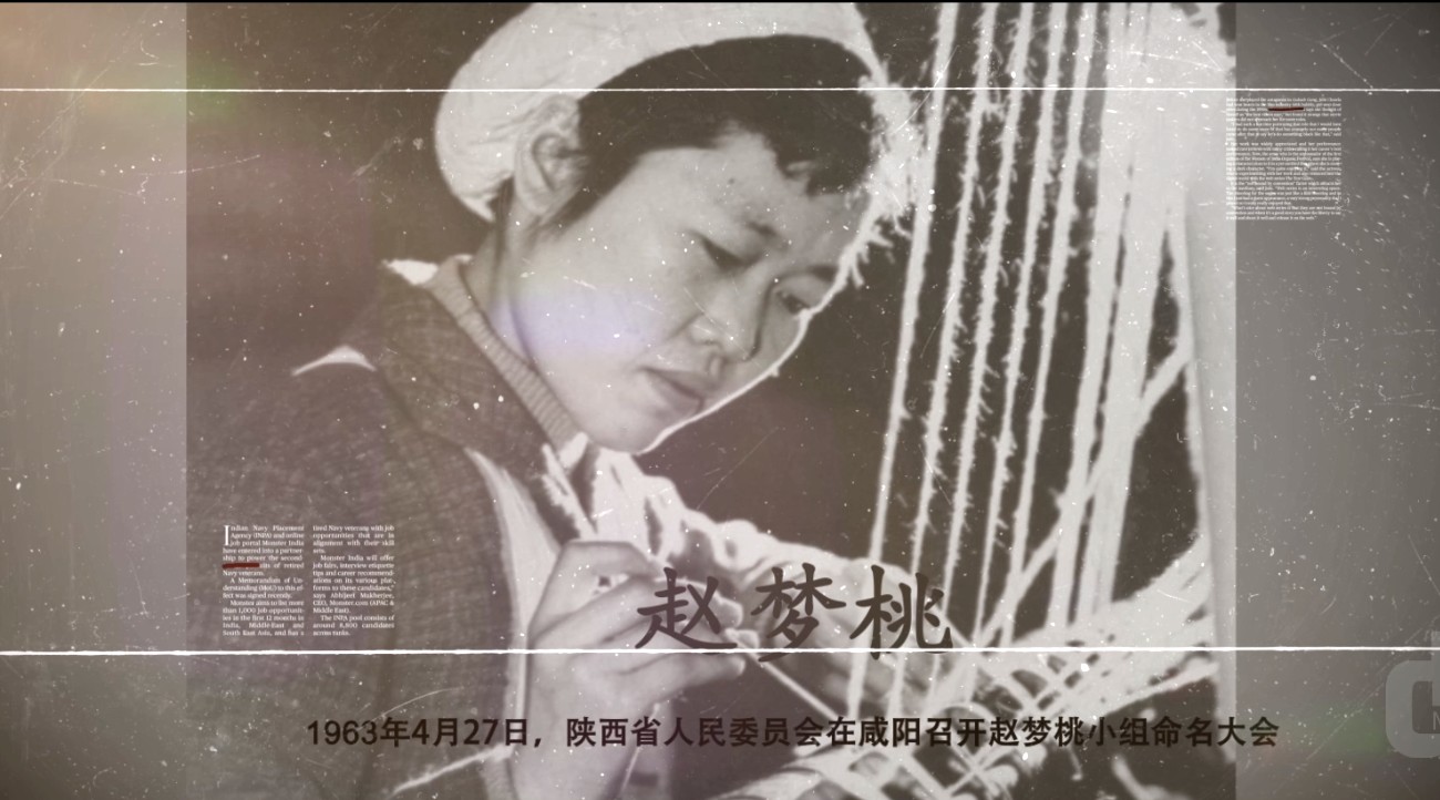 咸阳市委组织部人物纪录片 ：《筑梦织机育桃红》 