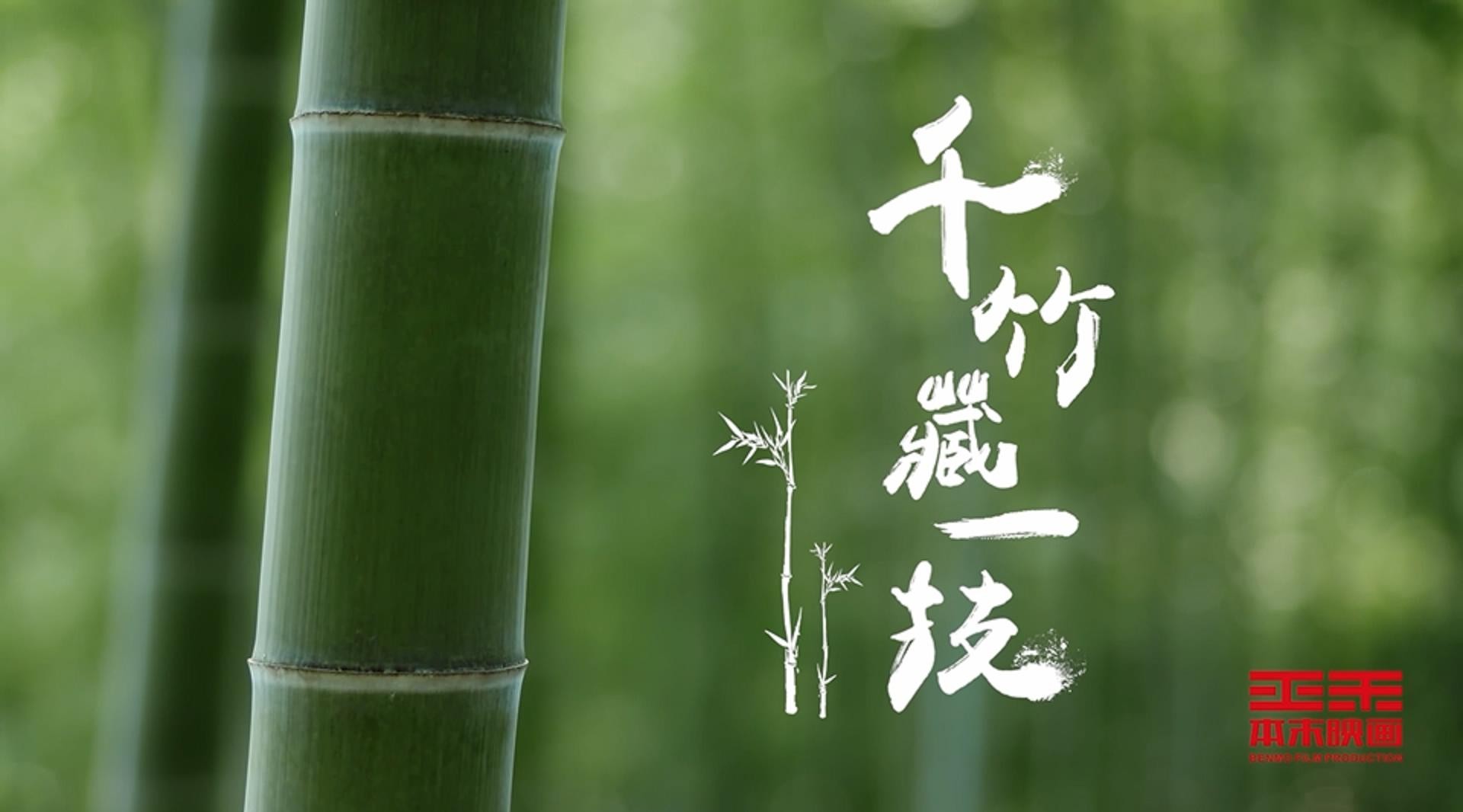 千岛湖旅游系列宣传片——《千竹藏一技》 