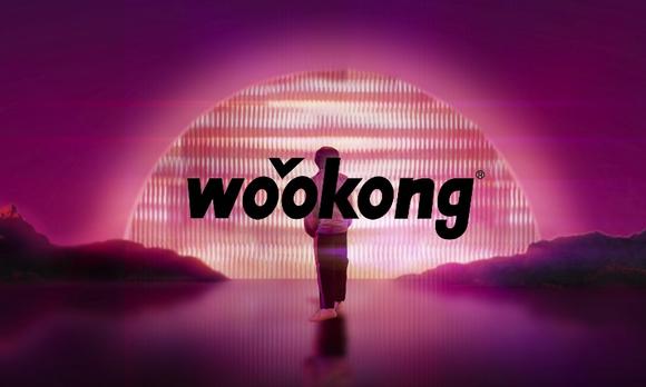 wookong-单品广告盖世英雄篇 