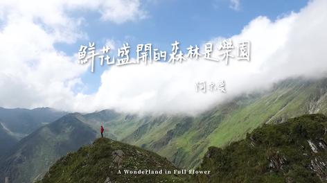 四姑娘山人文纪录片《云端的山语》- 鲜花盛开的森林是乐园 