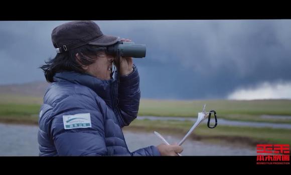 《让世界看到更多生命的希望》海康威视斑头雁生态纪录片 