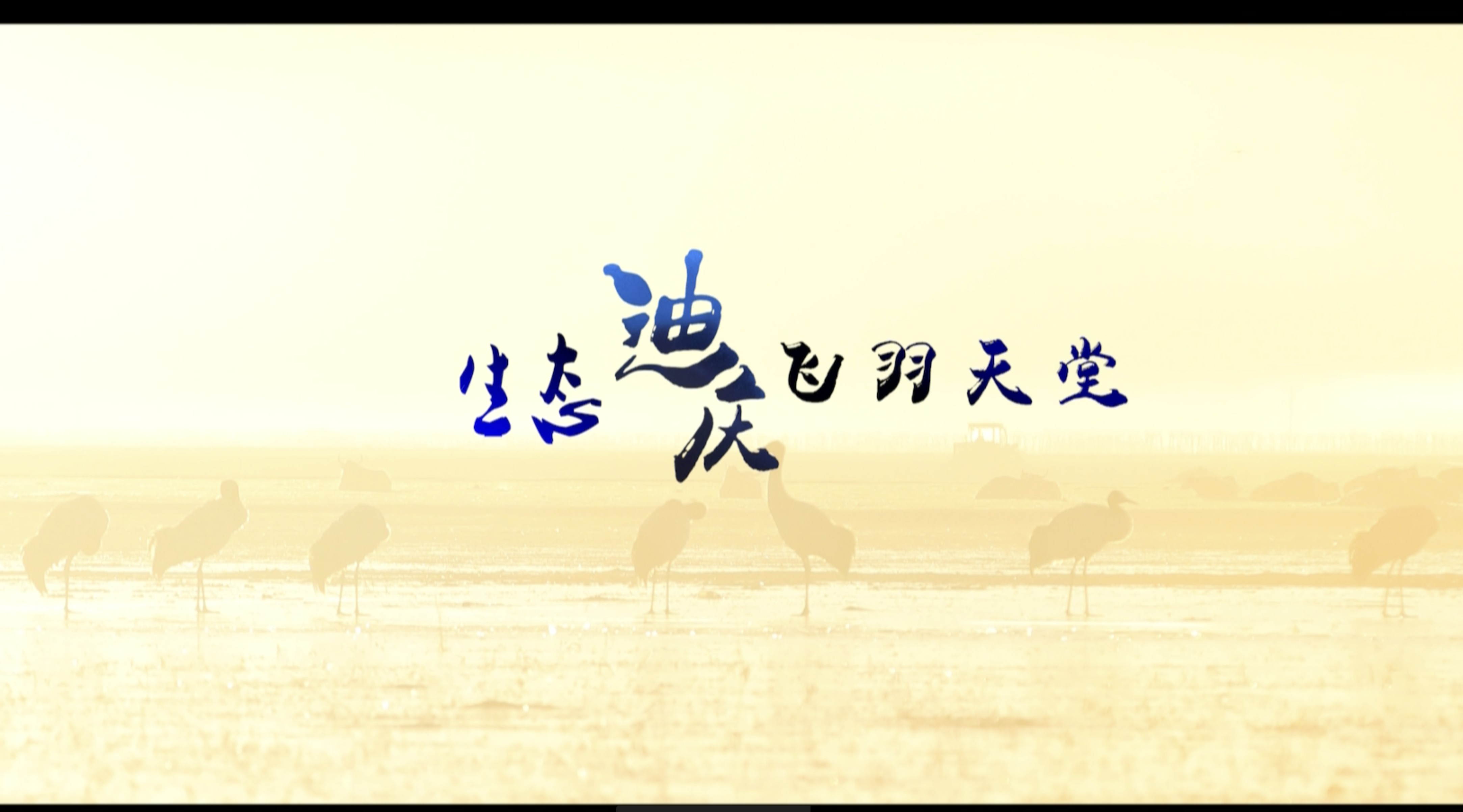 2017香格里拉冬季国际观鸟节纪录片《生态迪庆，飞羽天堂》 