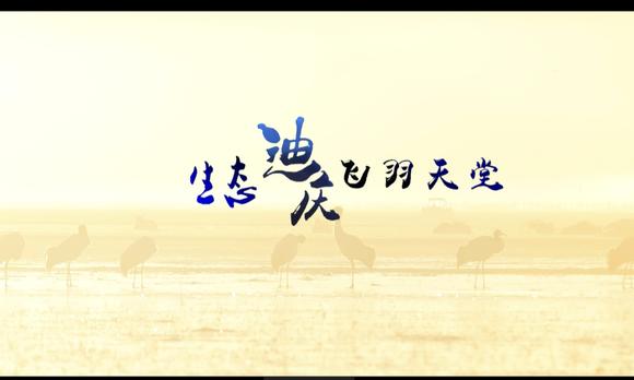 2017香格里拉冬季国际观鸟节纪录片《生态迪庆，飞羽天堂》 