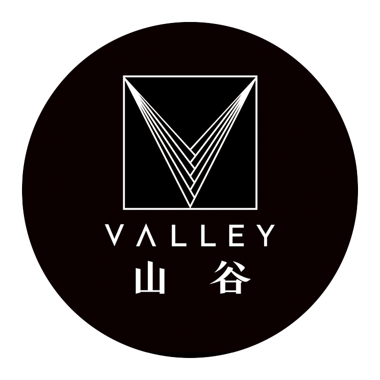 Valley Film 