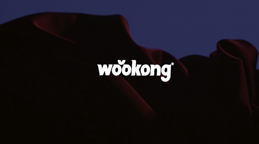 wookong-单品广告小白龙篇 