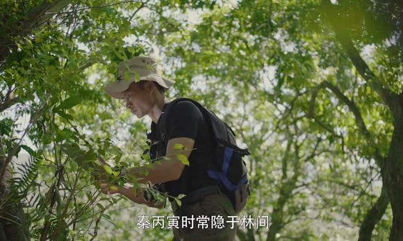 铁汉一方城市立体绿化企业宣传片 