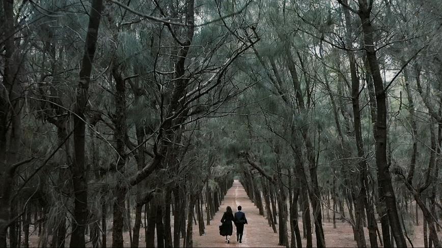 StoneFilm石头视频工作室出品 | Zhang & Xu婚礼电影 