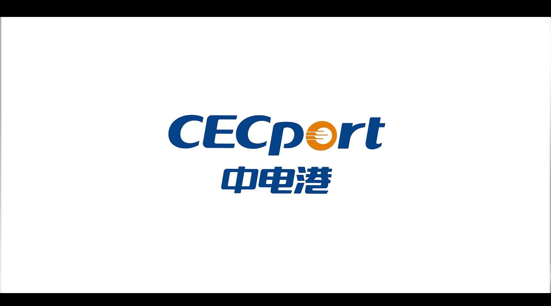 CEC 中电港 三维版本 