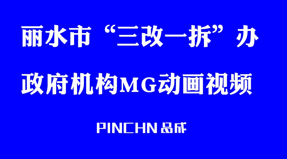 丽水市“三改一拆”行动领导小组办公室MG动画视频（PINCHN品成） 
