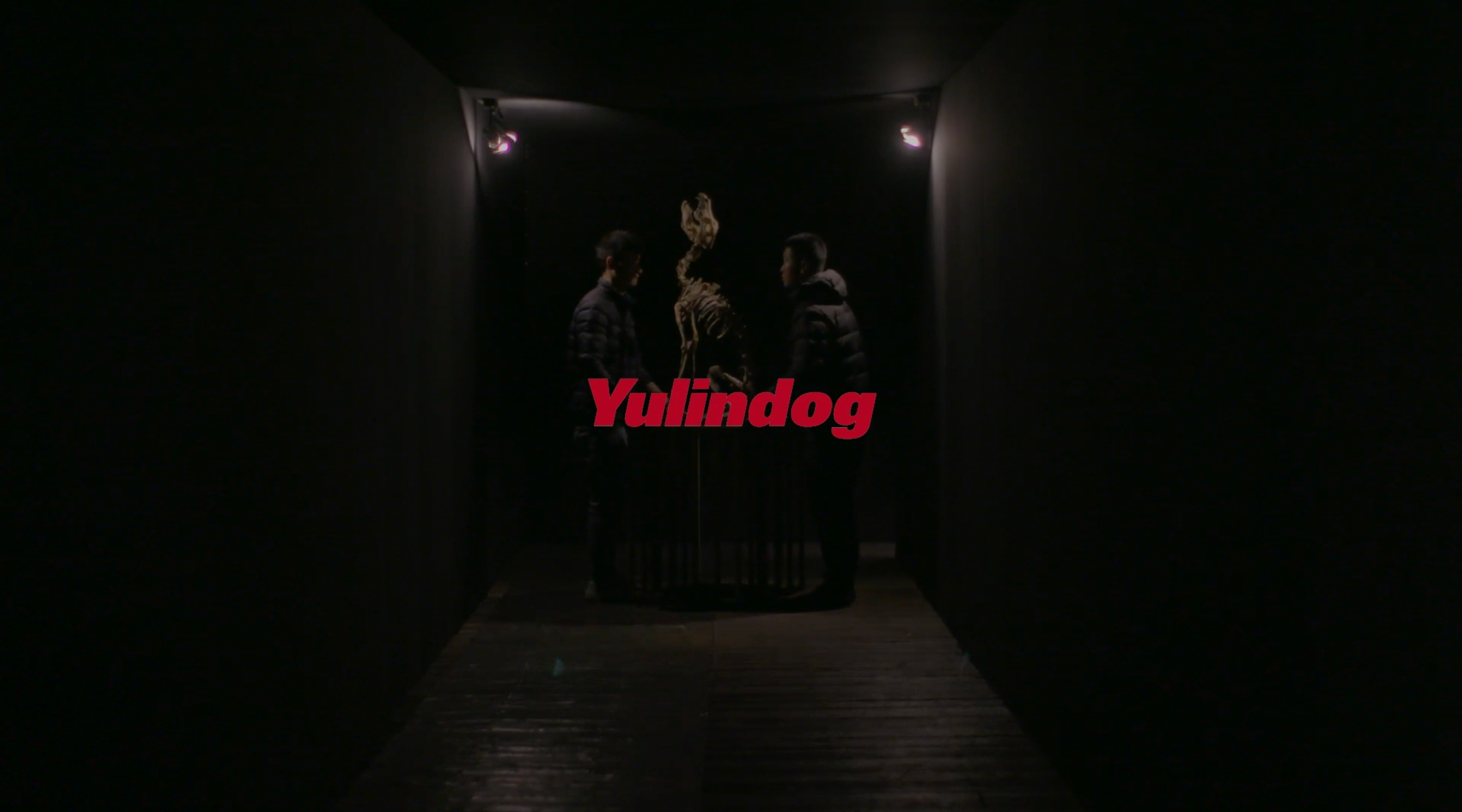 Yulindog 