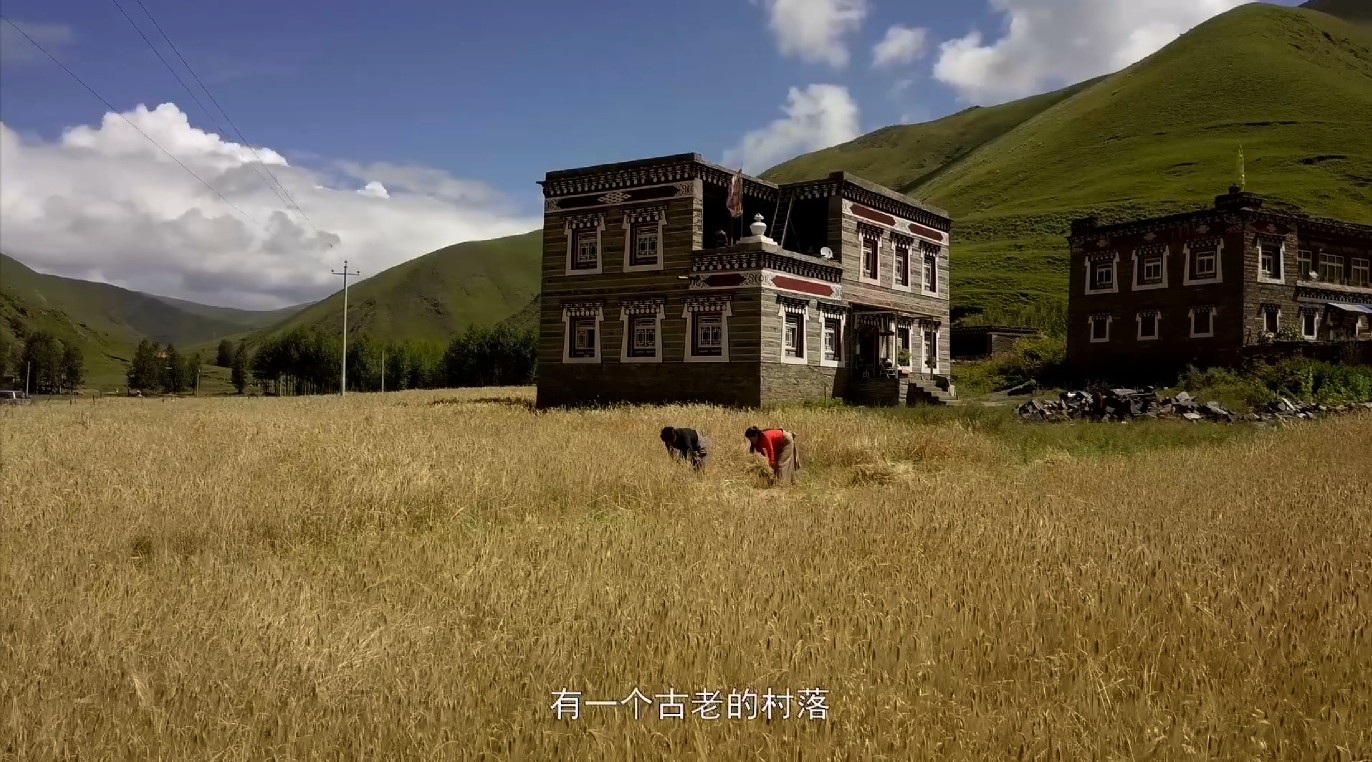 康巴卫视藏区改革开放四十年纪录片《逐梦前行》第一集 第一书记 