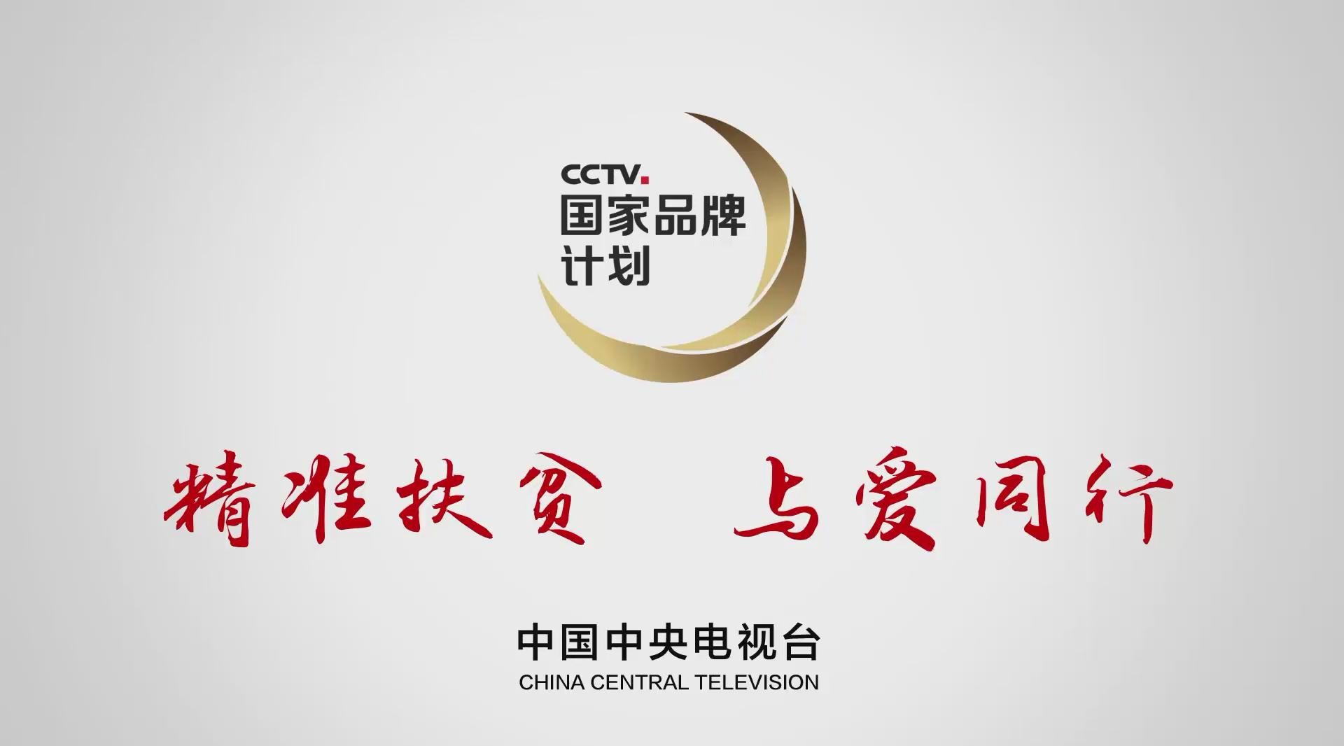 陇南橄榄油（国家品牌计划）TVC 