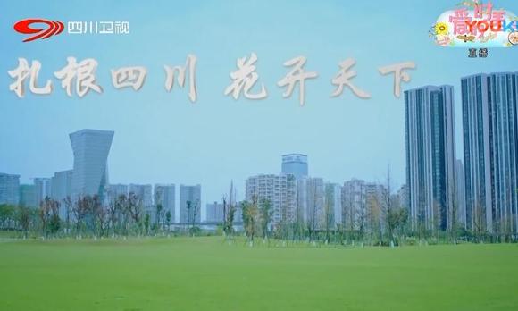 四川卫视2018跨年演唱会温情短片——星云4300摄制 