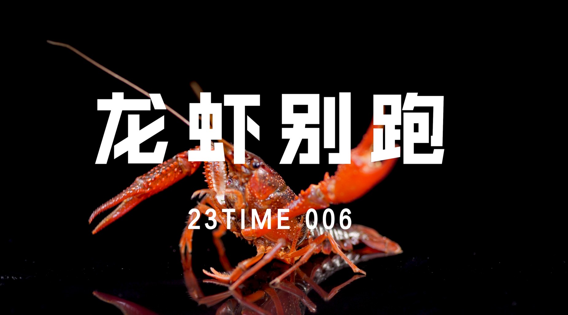 23TIME006——龙虾别跑 