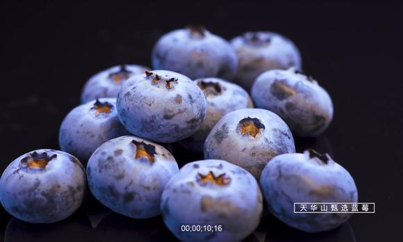 蓝莓广告片-天华山 