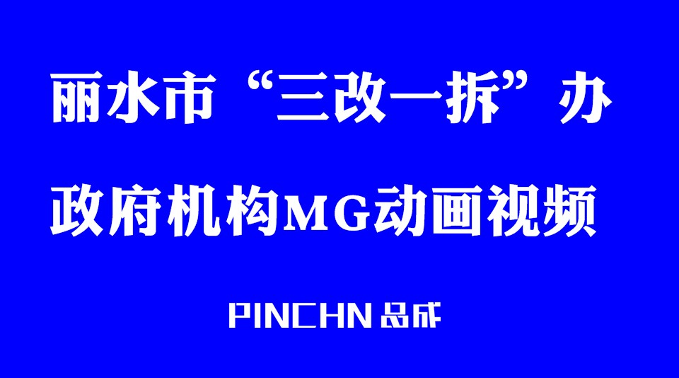 丽水市“三改一拆”行动领导小组办公室MG动画视频（PINCHN品成） 