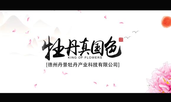宁津牡丹园宣传片 