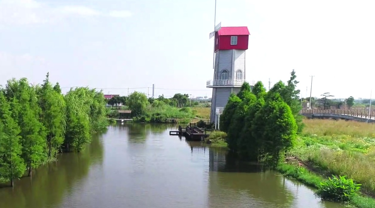 董浜美丽乡村湿地 