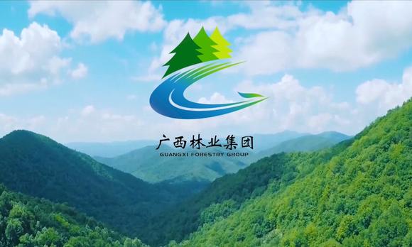 【样片展示】广西林业集团企业宣传片 