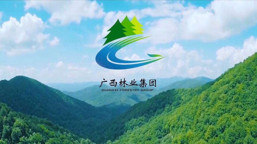 【样片展示】广西林业集团企业宣传片 