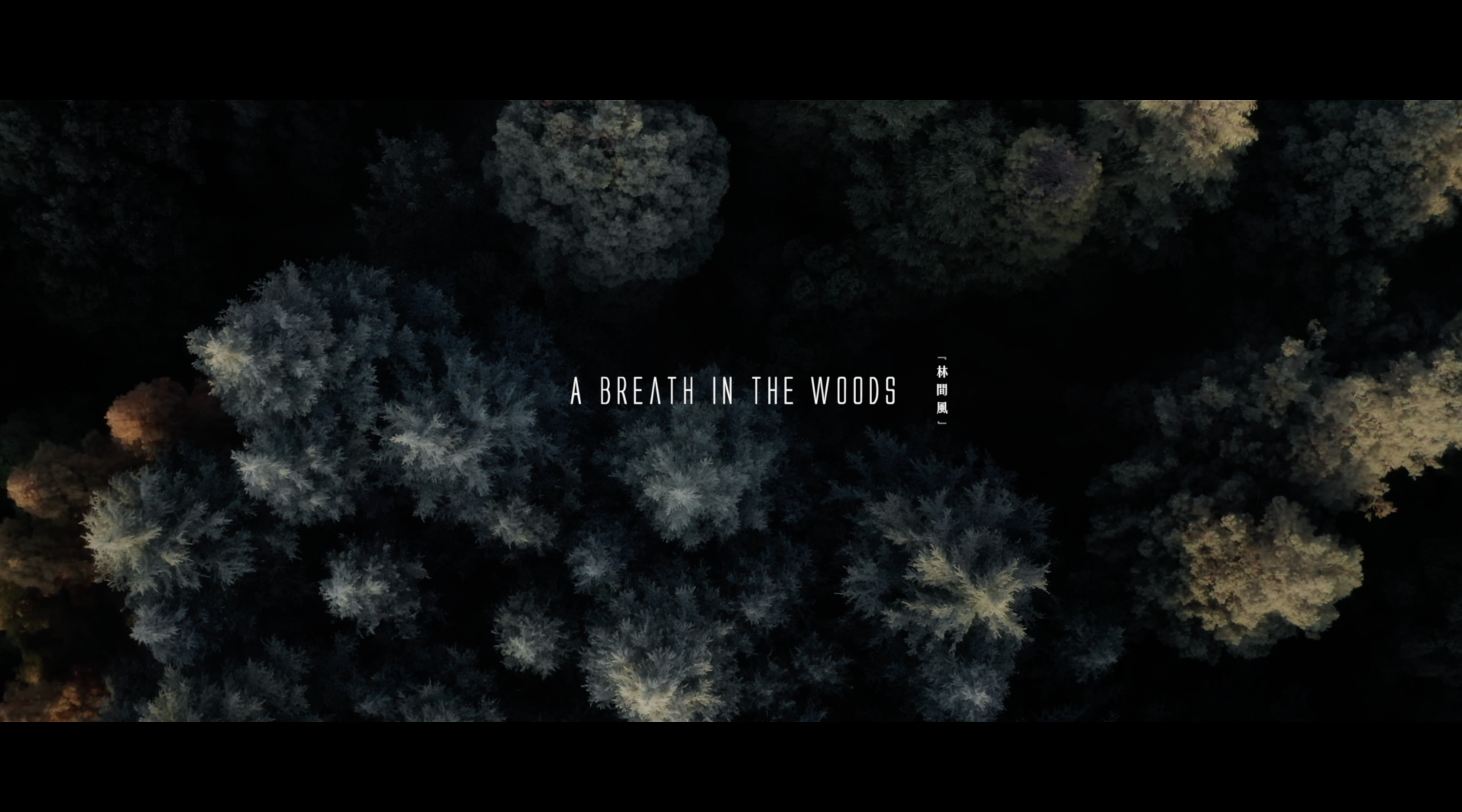 [林间风] A Breath in the Woods 