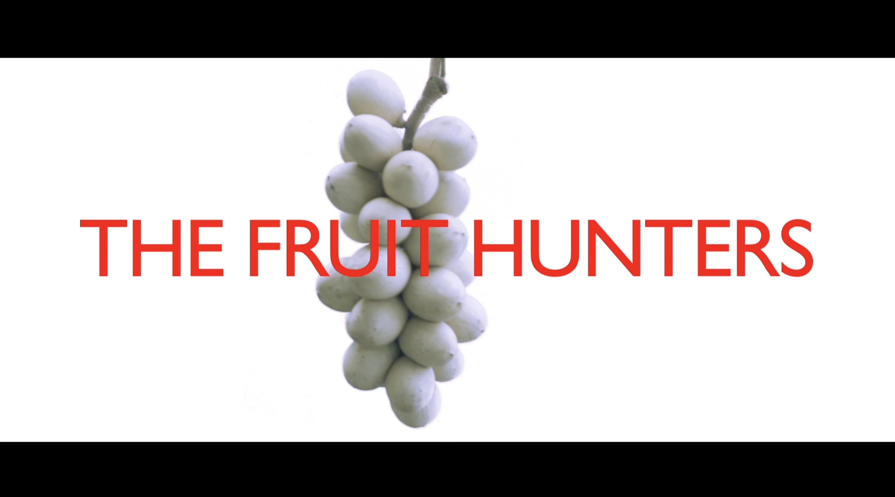 纪录片《水果猎人》片花 feature docu “Fruit Hunter" trailer 