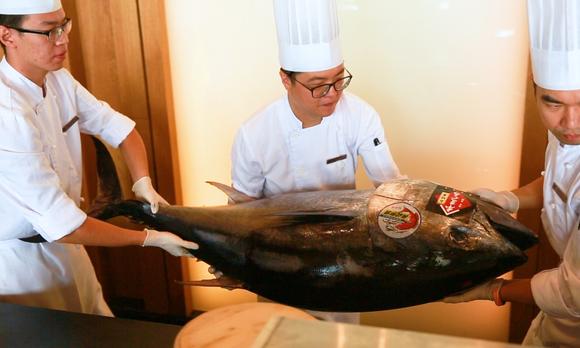 这么大一条蓝鳍金枪鱼, 从日本空运过来就为尝口鲜 