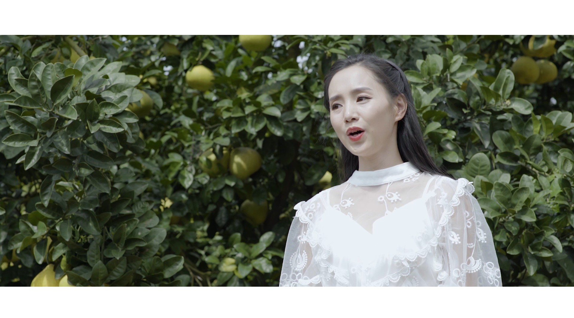 第三届文旦柚文化旅游节宣传MV 丨《文旦奇缘》 