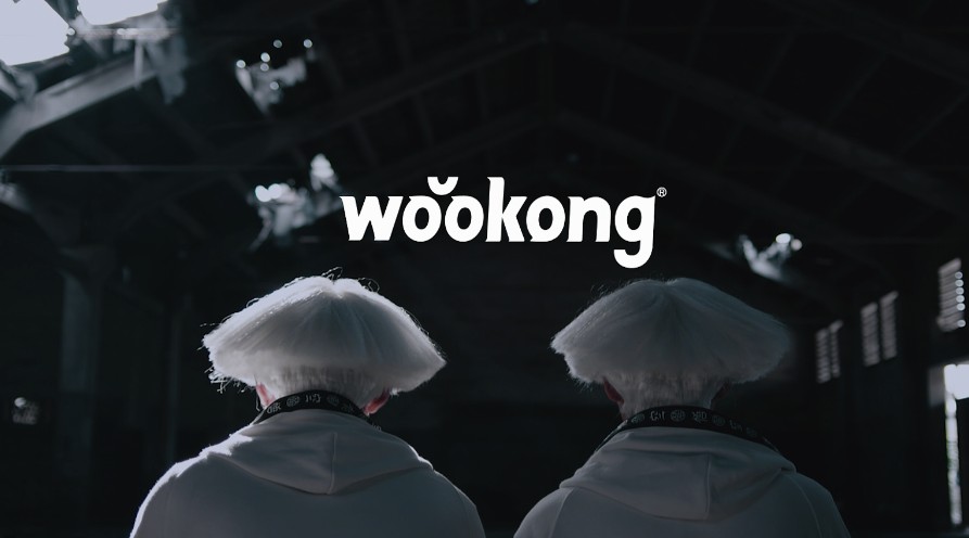wookong-2017品牌形象片 