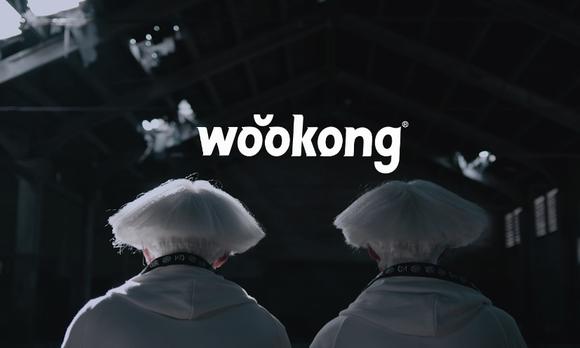 wookong-2017品牌形象片 