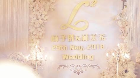 汕尾富林酒店双机婚礼精剪2018·5·28 