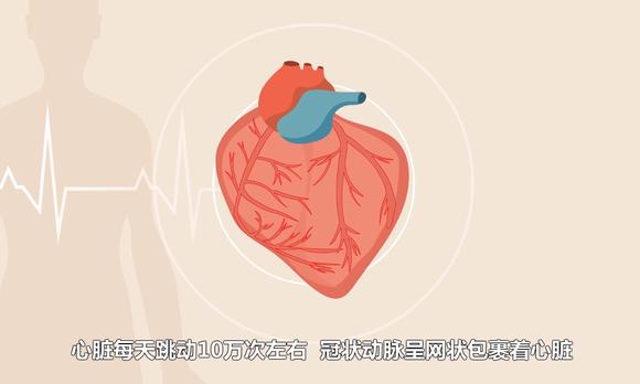 疾病动画 心脏冠状动脉狭窄硬化 造影支架医疗手术动画 